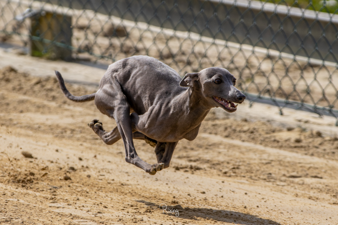Ostermontags-Training am 06.04.2026